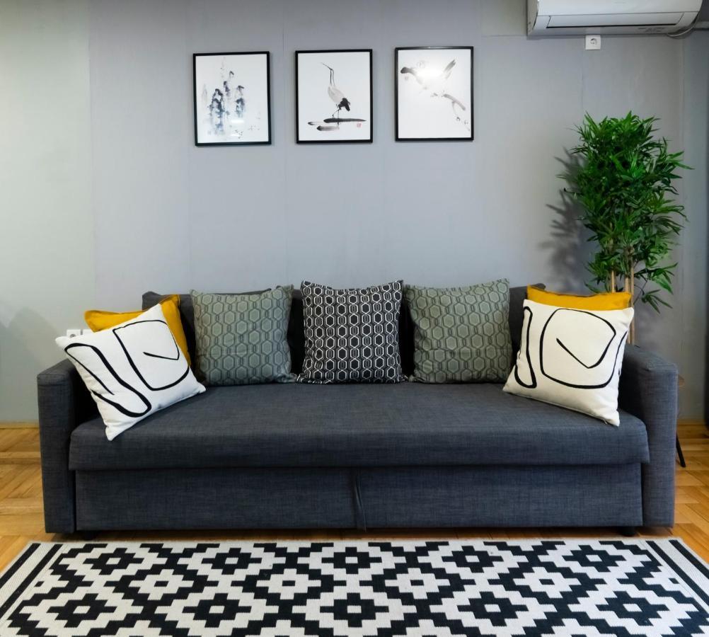 Central Fenix Apartment - Free Private Parking-Fast Wi-Fi Novi Sad Eksteriør billede