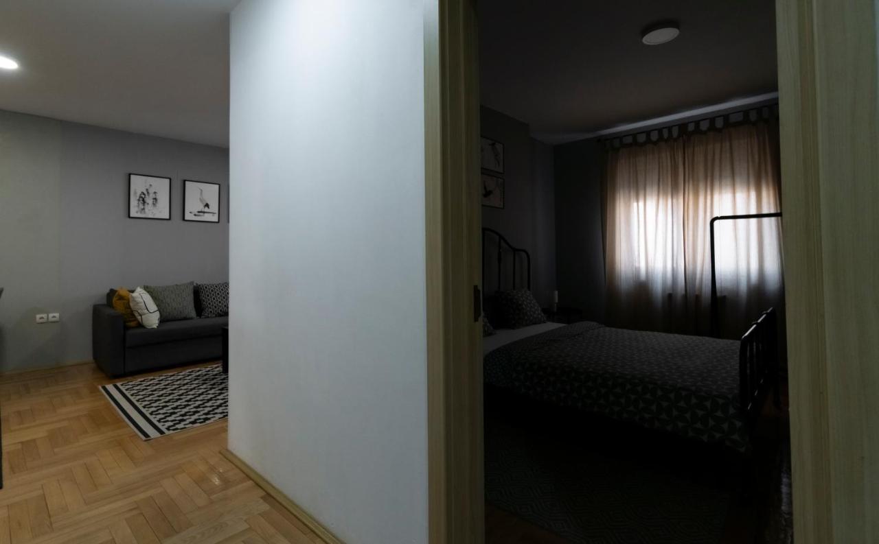 Central Fenix Apartment - Free Private Parking-Fast Wi-Fi Novi Sad Eksteriør billede