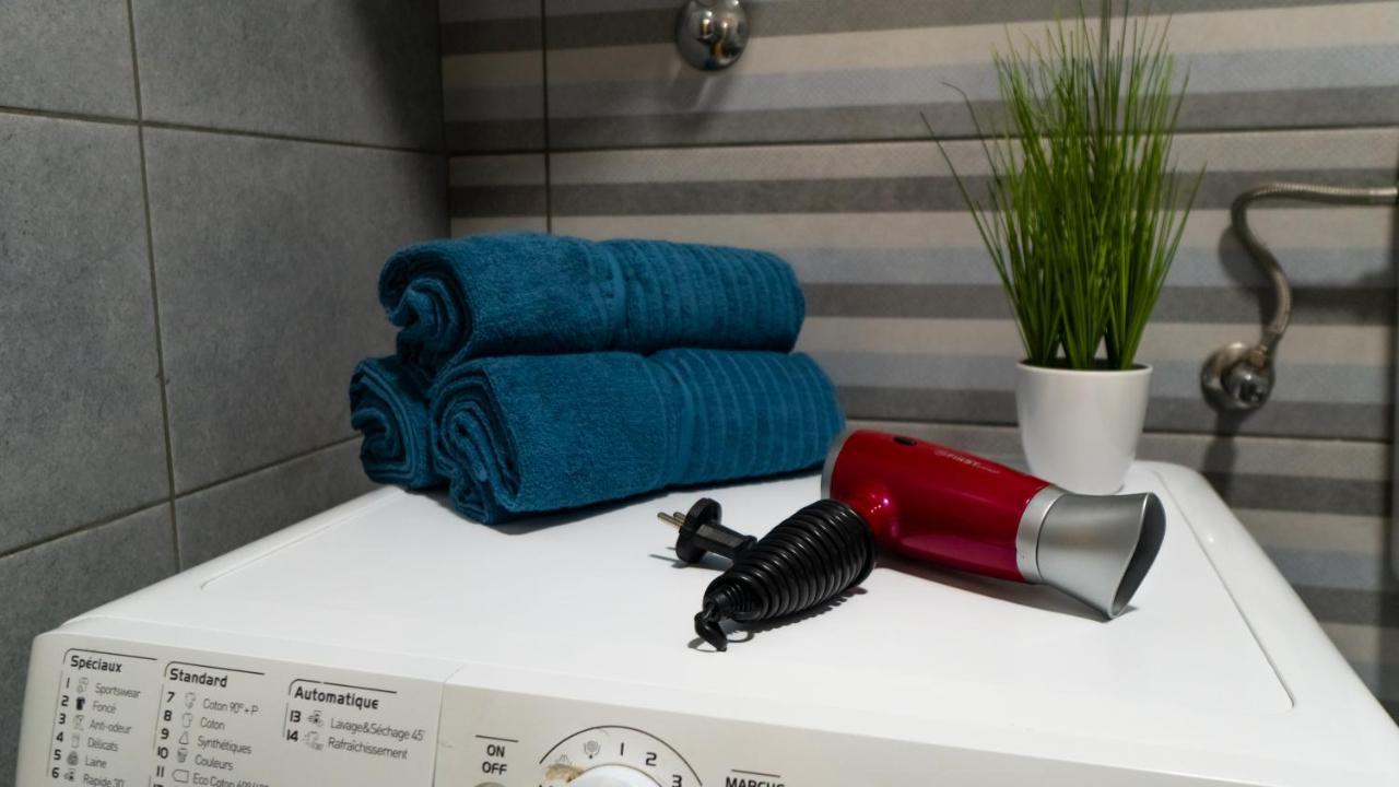 Central Fenix Apartment - Free Private Parking-Fast Wi-Fi Novi Sad Eksteriør billede